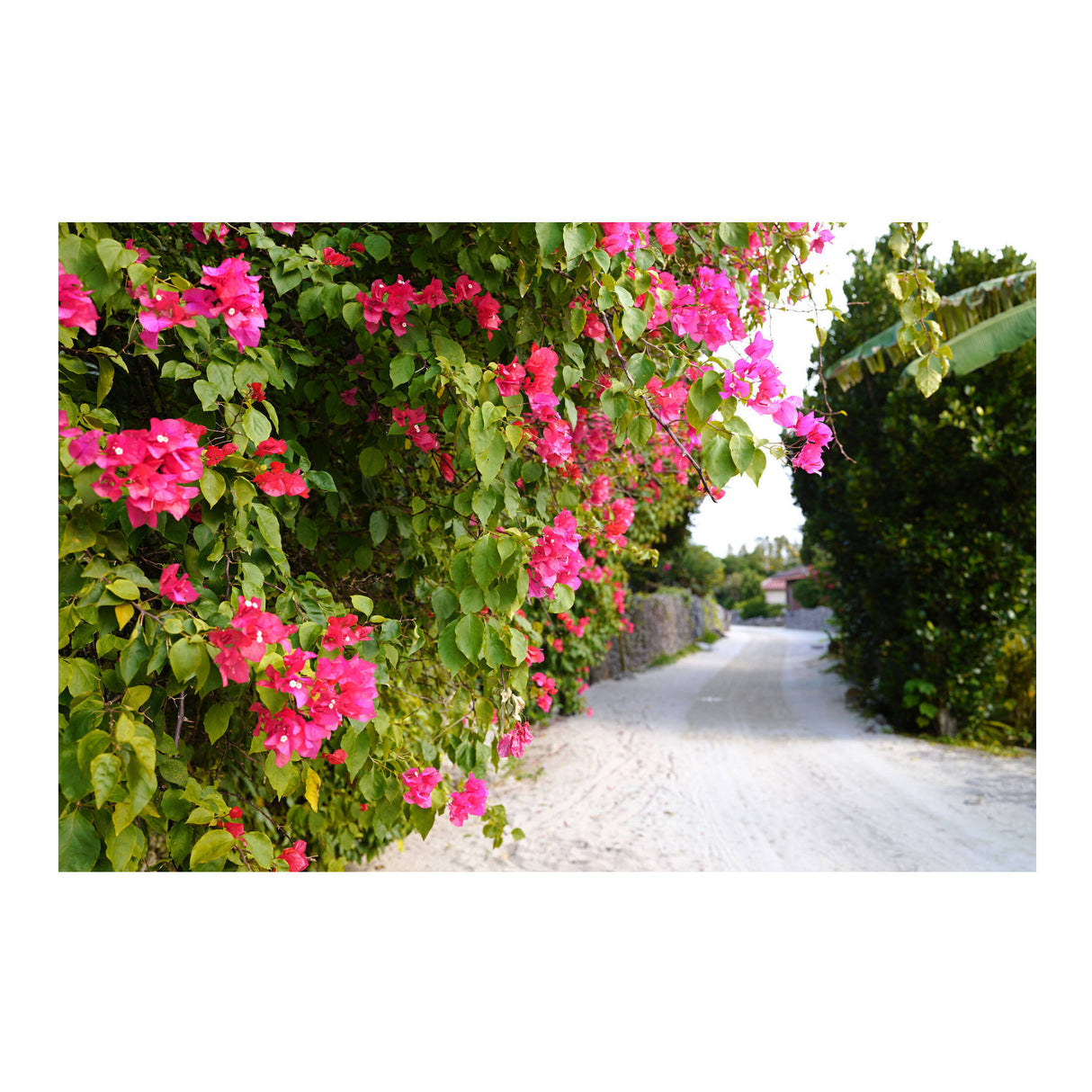 Sigma 35mm F1.4 DG II Art Full Frame Wide Angle Prime Lens (L Mount)