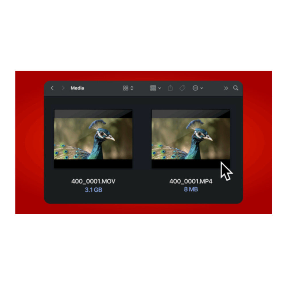 Atomos Ninja RAW 5-Inch 1500-Nit HDR Touchscreen Monitor-Recorder