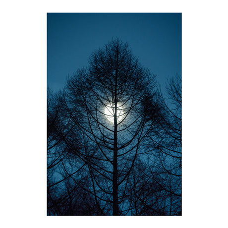 OEM