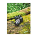 OM SYSTEM OM-5 Mark II Mirrorless Camera with 14-150mm f/4-5.6 II Lens (Black)