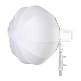 Amaran Ray 360c Full-Color COB Video Light (US) with 2' Soft Light Modifier