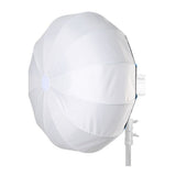 Amaran Ray 360c Full-Color COB Video Light (US) with 3' Soft Light Modifier