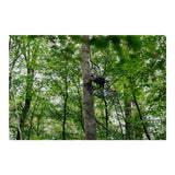 Muddy 20' Odyssey XTL Ladder Tree Stand with Tree-Lok System (350 lb. Capacity)