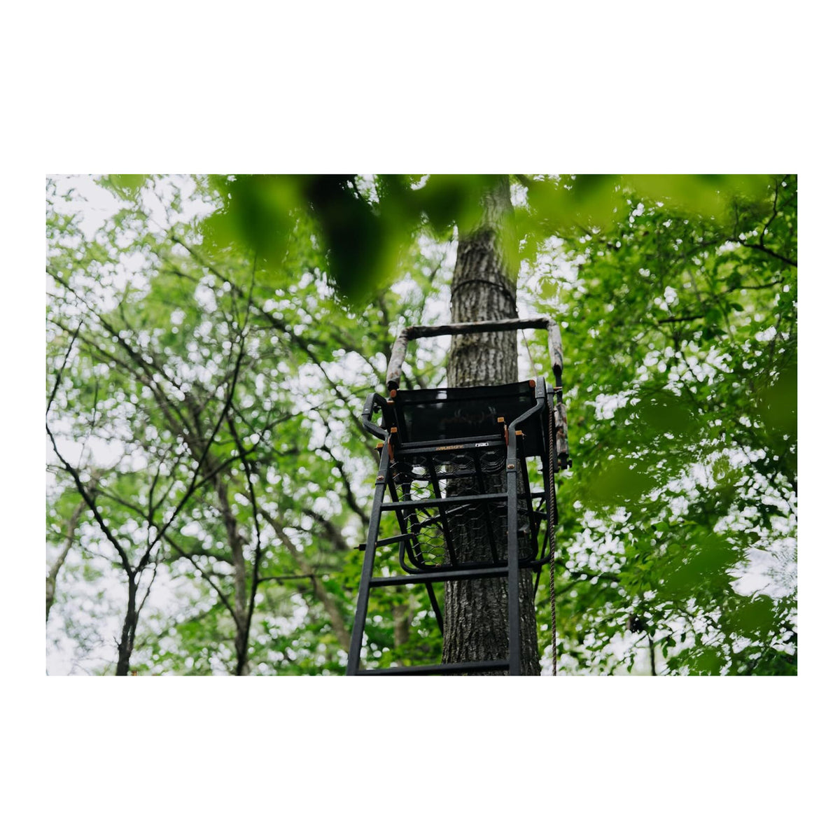Muddy 20' Odyssey XTL Ladder Tree Stand with Tree-Lok System (350 lb. Capacity)