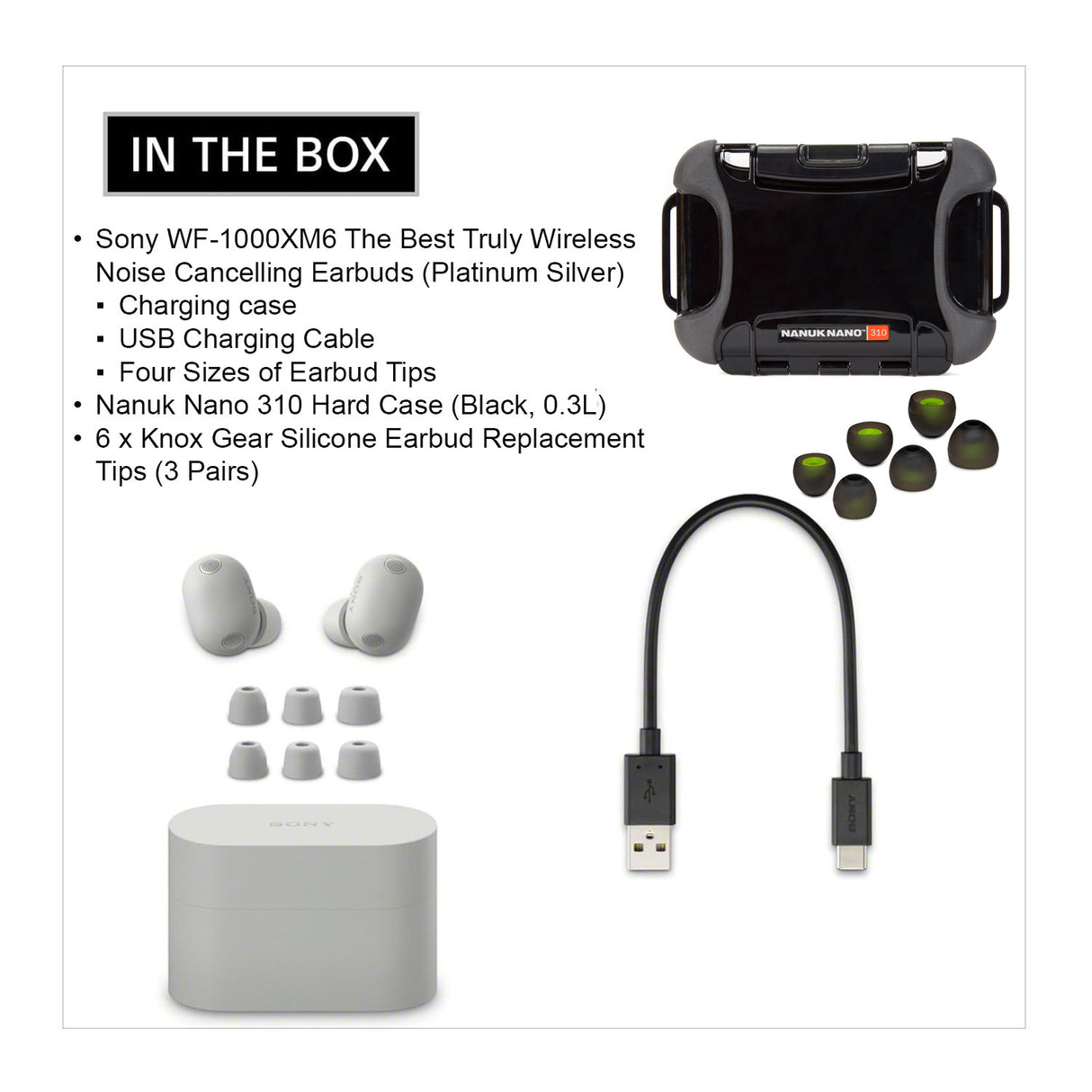 Sony WF-1000XM6 Wireless Earbuds (Platinum Silver) with Hard Case, Earbud Tips