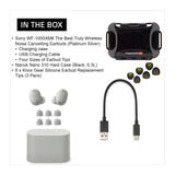 Sony WF-1000XM6 Wireless Earbuds (Platinum Silver) with Hard Case, Earbud Tips