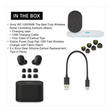 Sony WF-1000XM6 Wireless Earbuds (Black) with Accessories Bundle