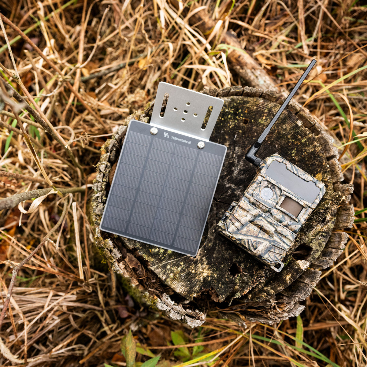 Yellowstone Y2 4G-LTE Cellular Trail Camera (2-Pack) Bundle with Accessories