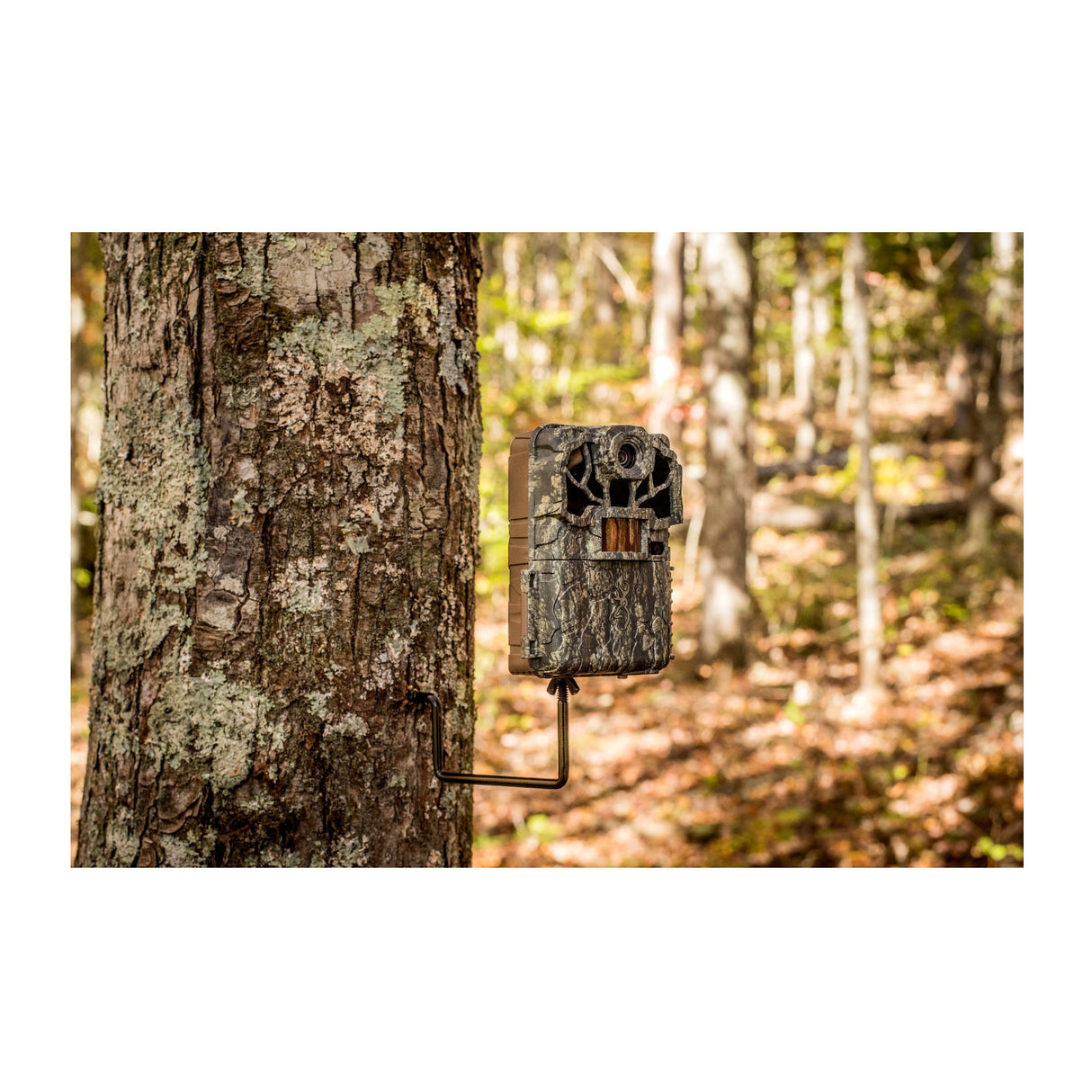 Browning Spec Ops Elite HP5 Ultra 46MP 1440p Trail Camera Bundle (4 Pack)