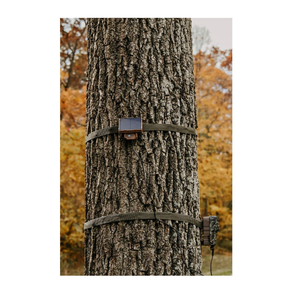 Browning Trail Cameras Strike Force Pro X Motion-Activated Camera (Camo) Bundle with Accessories