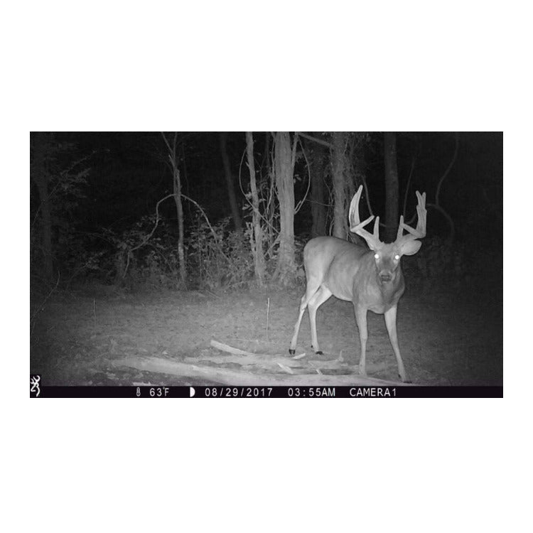 Browning Trail Cameras Strike Force Pro X Motion-Activated Camera (Camo) Bundle with Accessories