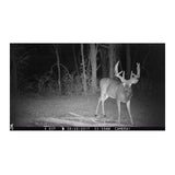 Browning Trail Cameras Strike Force Pro X Motion-Activated Camera (Camo) Bundle with Accessories