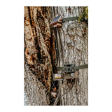 Browning Trail Cameras Command Ops Elite 40MP (6-Pack) Bundle with Accessories