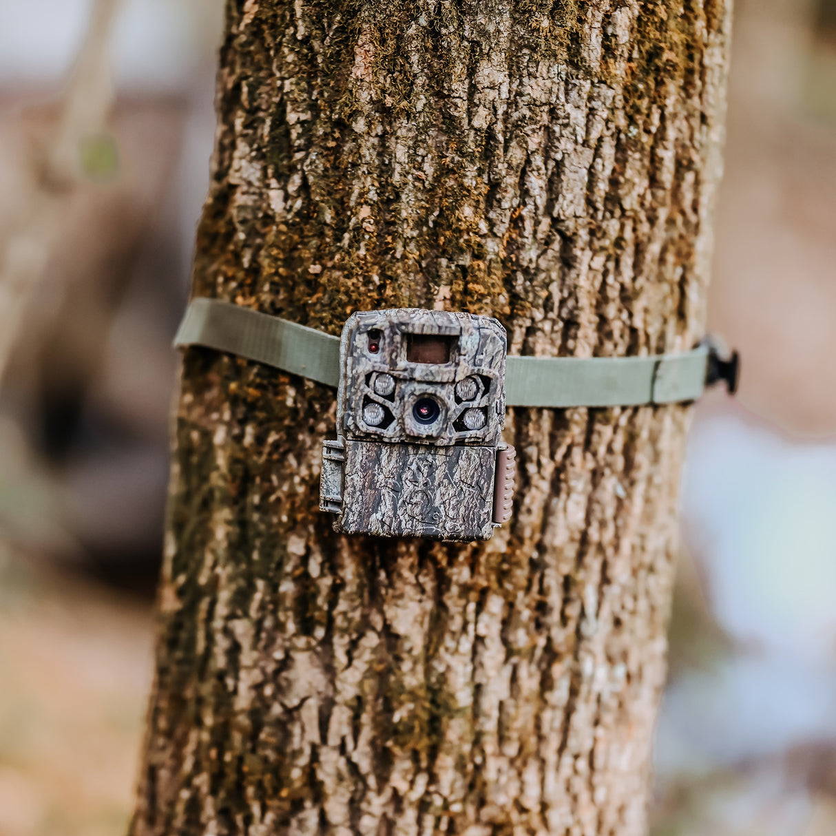 Browning Strike Force FHDR 40MP Trail Camera (4 Pack) Bundle with Accessories