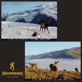 Browning Trail Cameras Strike Force Pro X Trail Camera Bundle (10-Pack, Camo)