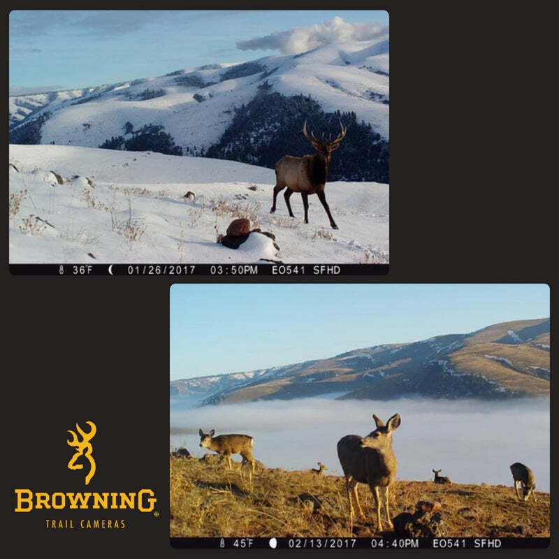 Browning Trail Cameras Strike Force Pro X Trail Camera Bundle (6-Pack, Camo)