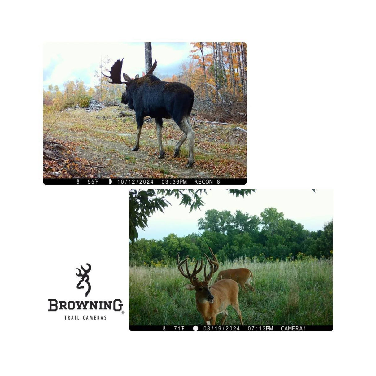 Browning Recon Force Elite Ultra Non-Cellular Trail Camera (6 Pack) Bundle
