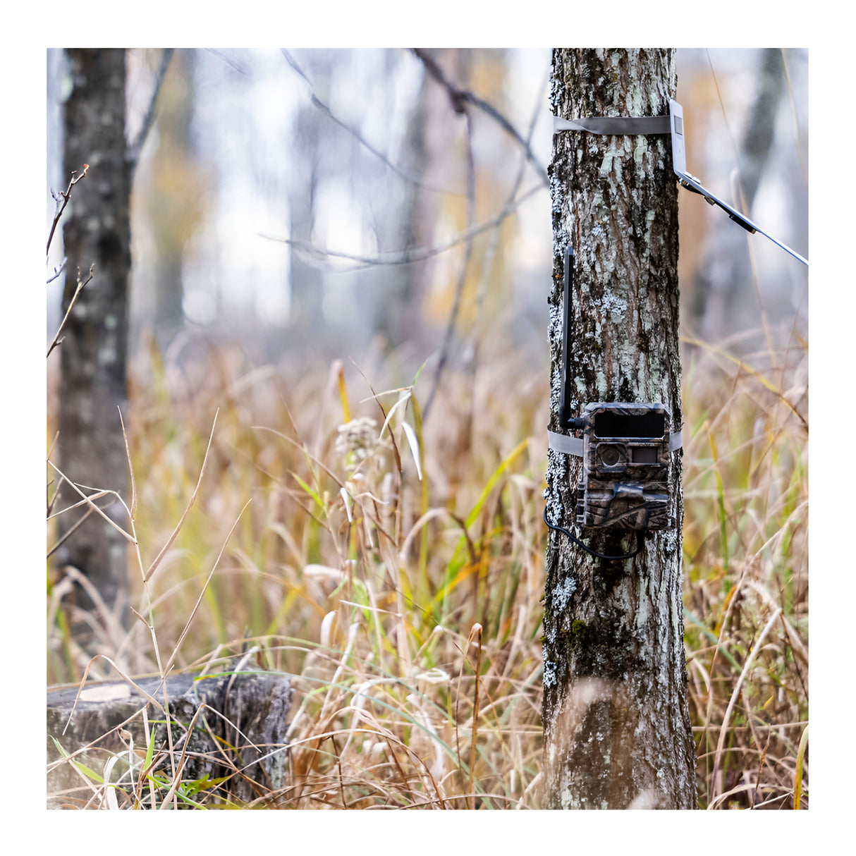 Yellowstone Y2 Black Wide Lens Trail Camera (2-Pack) with Security Box and Accs