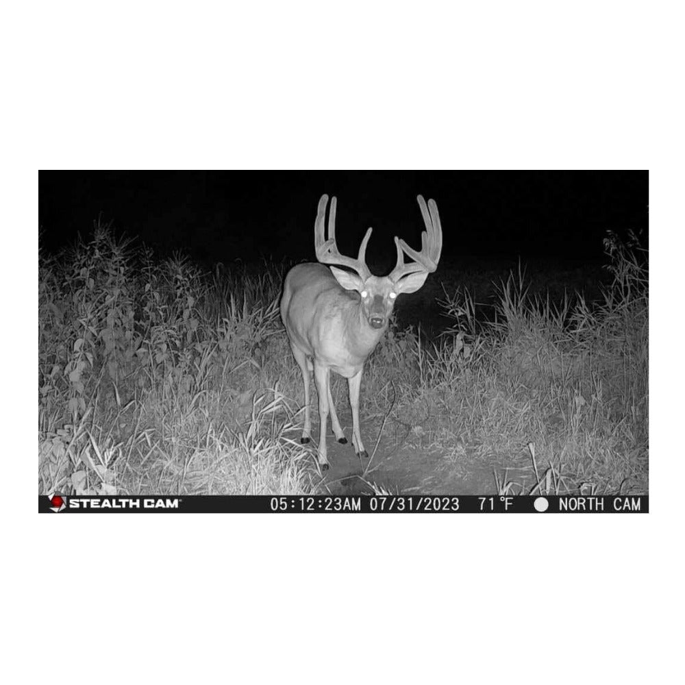 Stealth Cam Fusion X-Pro 36MP 720P Cellular Dual Sim Trail Camera (Open Box)