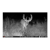 Stealth Cam Fusion X-Pro 36MP 720P Cellular Dual Sim Trail Camera (Open Box)