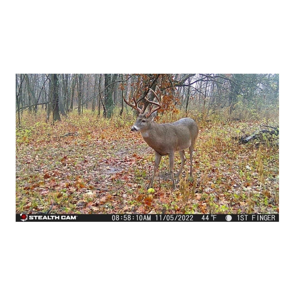 Stealth Cam Fusion X-Pro 36MP 720P Cellular Dual Sim Trail Camera (Open Box)