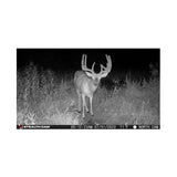 Stealth Cam Fusion X-Pro 36MP 720P Cellular Dual Sim Trail Camera 4-Pack Bundle