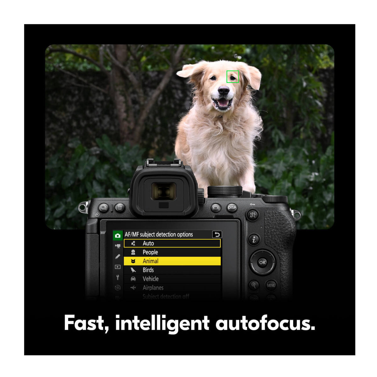 Nikon Z5II Full Frame Mirrorless Camera with Z 24-70mm F4 S Lens (Black) (Open Box)