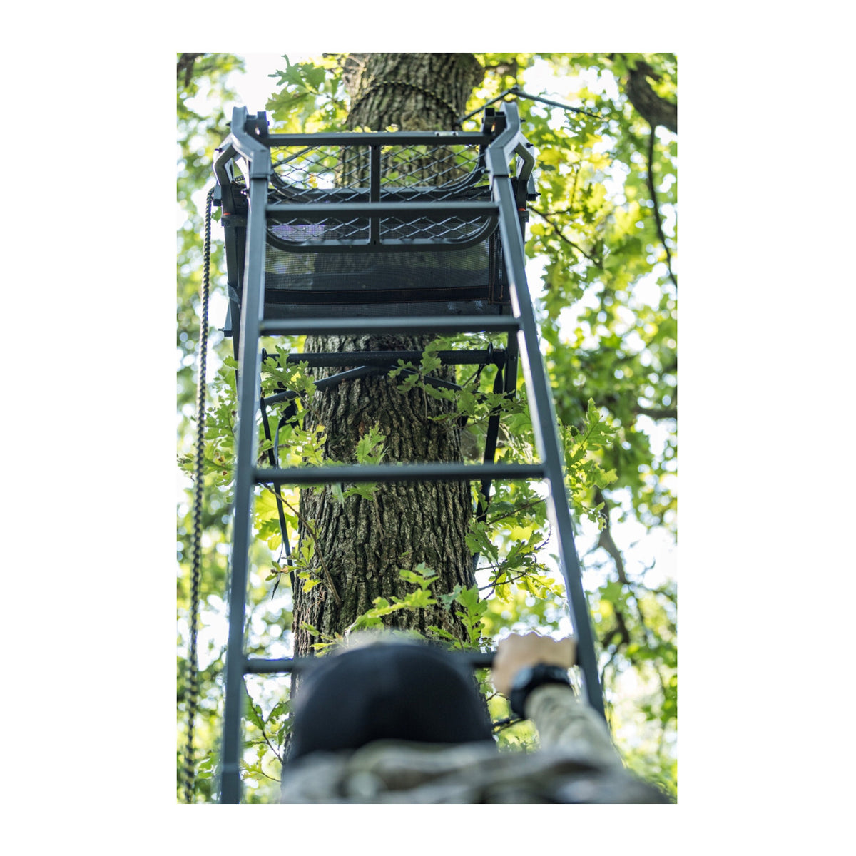 Big Game Treestands Warrior Elite Ultra-Wide 17 ft Climbing Tree Stand (Open Box)