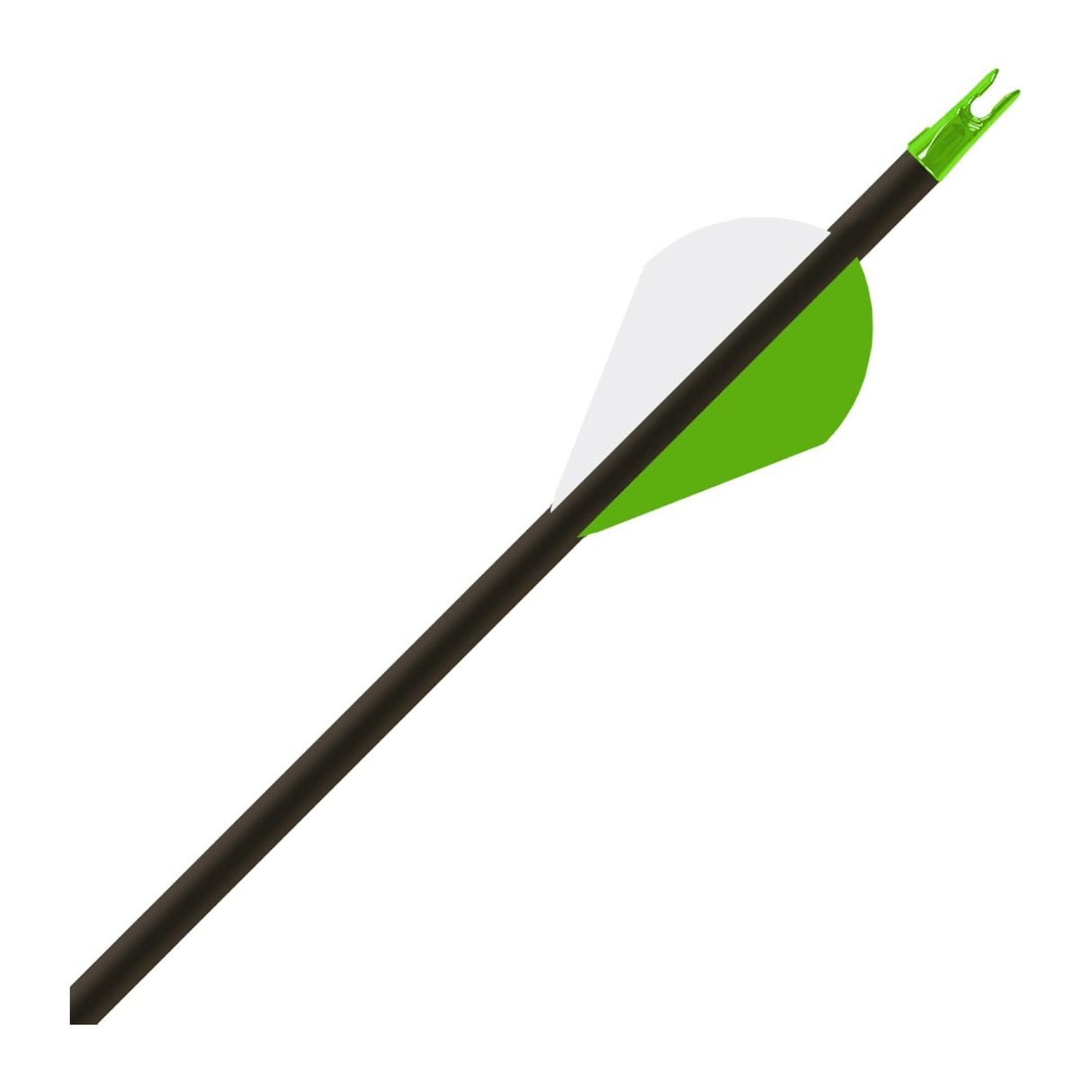 Gold Tip Hunter XT 300 Arrows with 2 Inch Raptor Vane (Pack of 6)