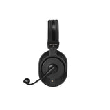beyerdynamic DT-290-MKII-200/80 Headset with Dynamic Microphone (80 Ohms)