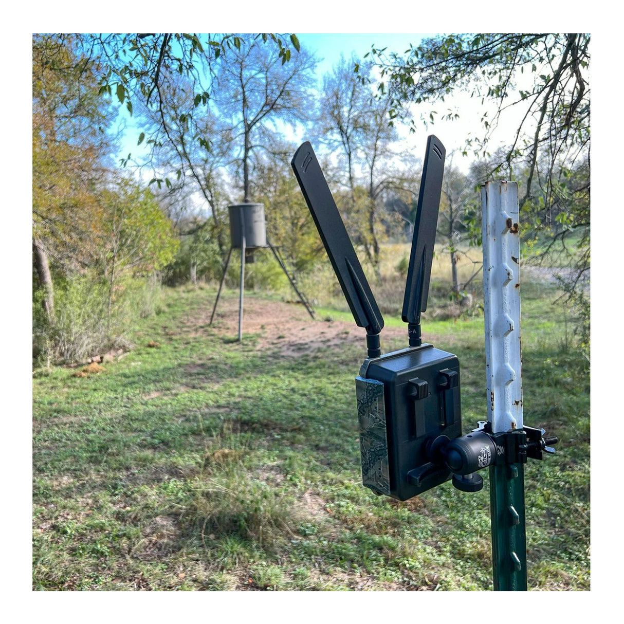 Slow Glow Maverick T-Post Trail Camera Mount with Adjustable Ball Head