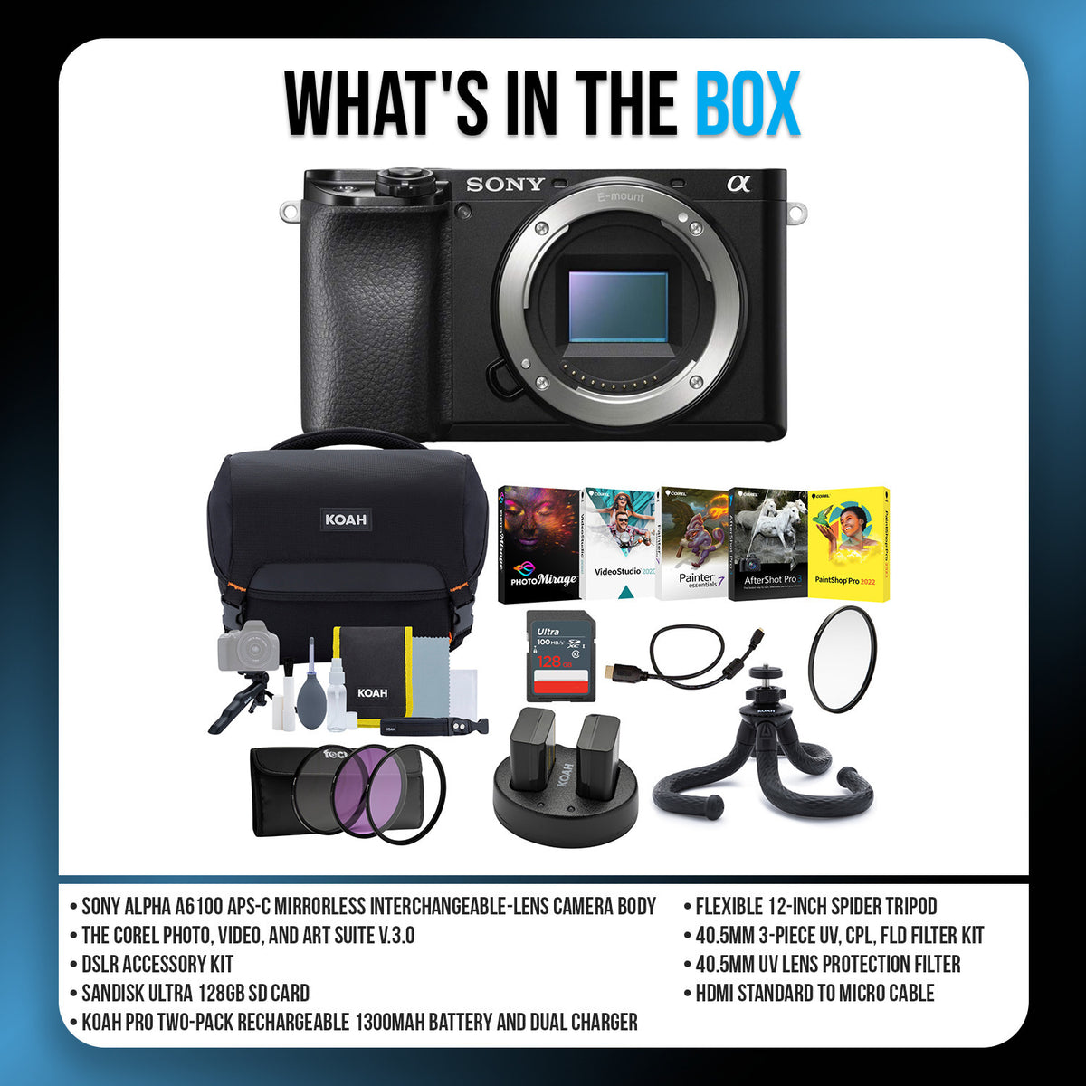 Sony Alpha a6100 APS-C Mirrorless Interchangeable-Lens Camera (Body Only) Bundle