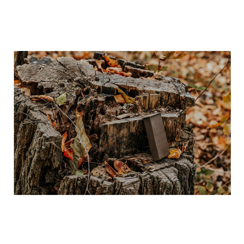 Browning Trail Cameras Rechargeable Battery Power Pack (4-Pack) Bundle
