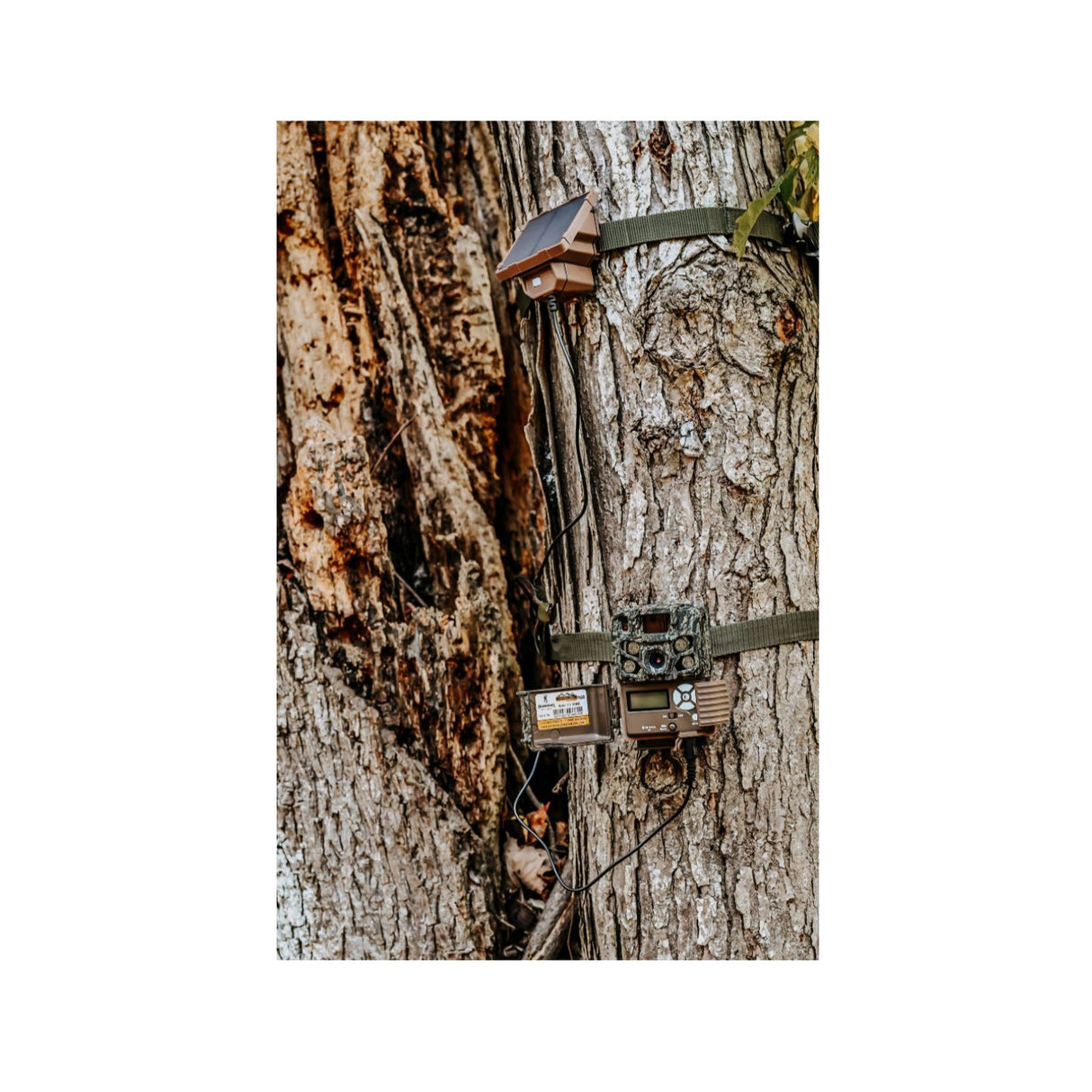 Browning Trail Cameras Universal Solar Camera Power Pack (6-Pack) with Card Reader Bundle