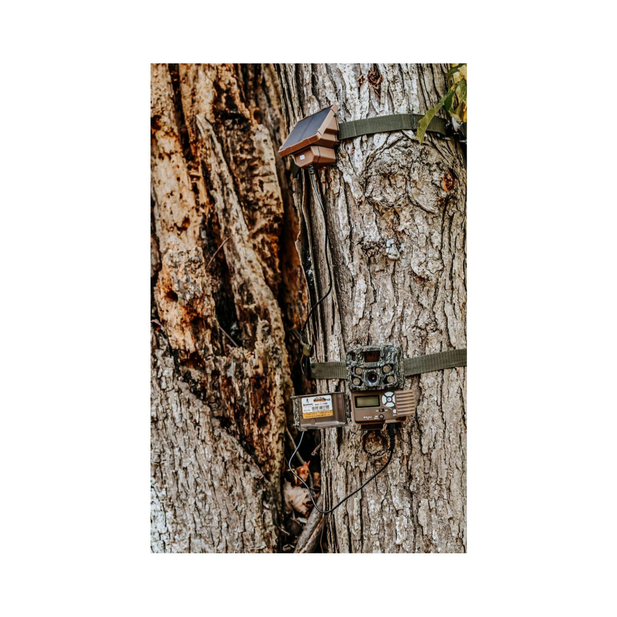 Browning Trail Cameras Universal Solar Camera Power Pack (8-Pack) with Card Reader Bundle