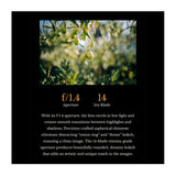 Thypoch Simera 21mm f/1.4 Full-frame Prime Camera Lens with Manual Focus (Leica M Mount, Black)