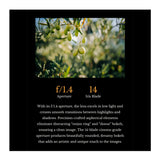 Thypoch Simera 21mm f/1.4 Full-frame Prime Camera Lens with Manual Focus (Leica M Mount, Silver)