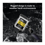 Lexar 256GB Professional GOLD CFexpress 4.0 Type B Memory Card