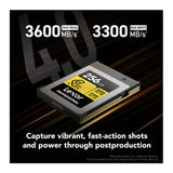 Lexar 256GB Professional GOLD CFexpress 4.0 Type B Memory Card