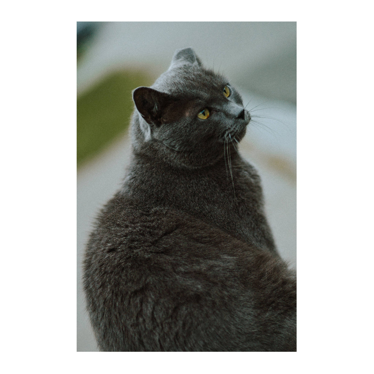 Thypoch Simera 75mm f/1.4 ASPH Full Frame Manual Lens (Leica M, Black)