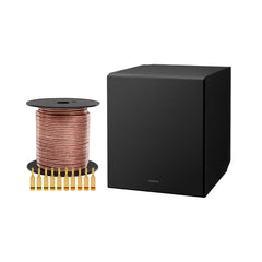 Sony SA-CS9M2 10-inch Powered Active Subwoofer Bundle with 100ft Speaker Wire and Banana Plugs