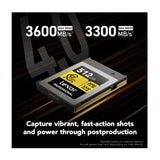 Lexar 512GB Professional GOLD CFexpress 4.0 Type B Memory Card