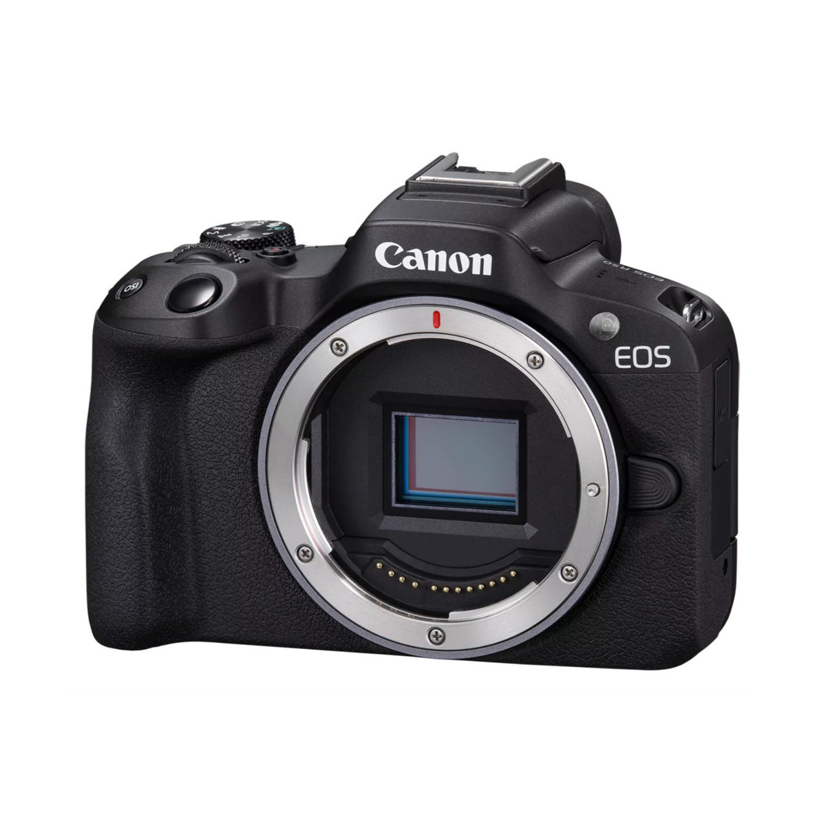 Canon EOS R50 24.2MP Mirrorless Camera Bundle with 64GB Memory Card and Padded Bag