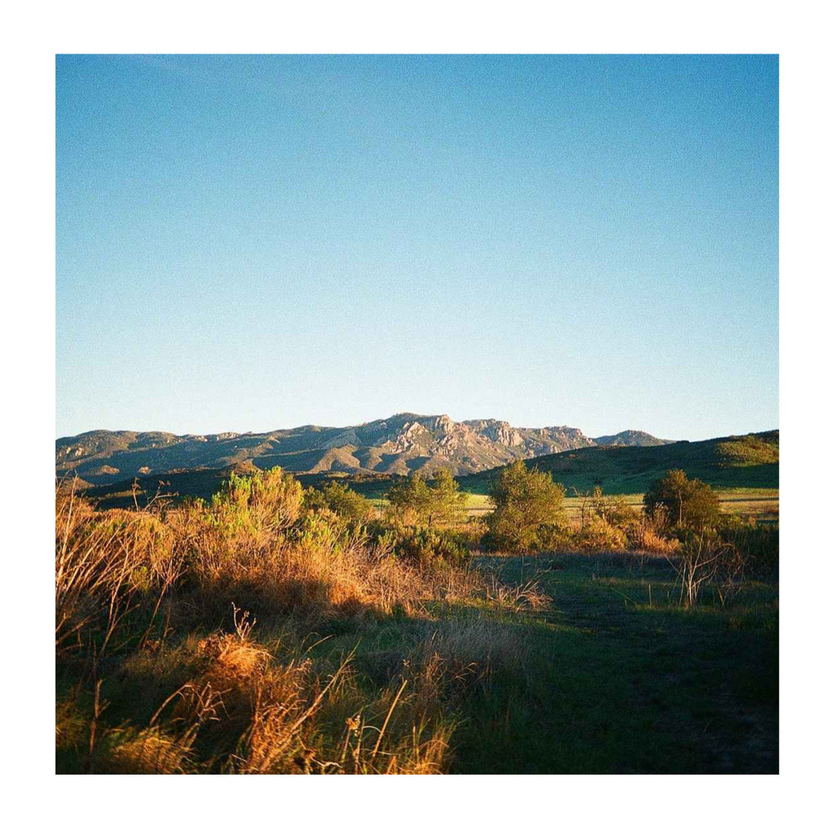 Kodak 135-36 UltraMax 400 35mm Color Negative Film Roll with Daylight Balanced Color (36 Exposure)