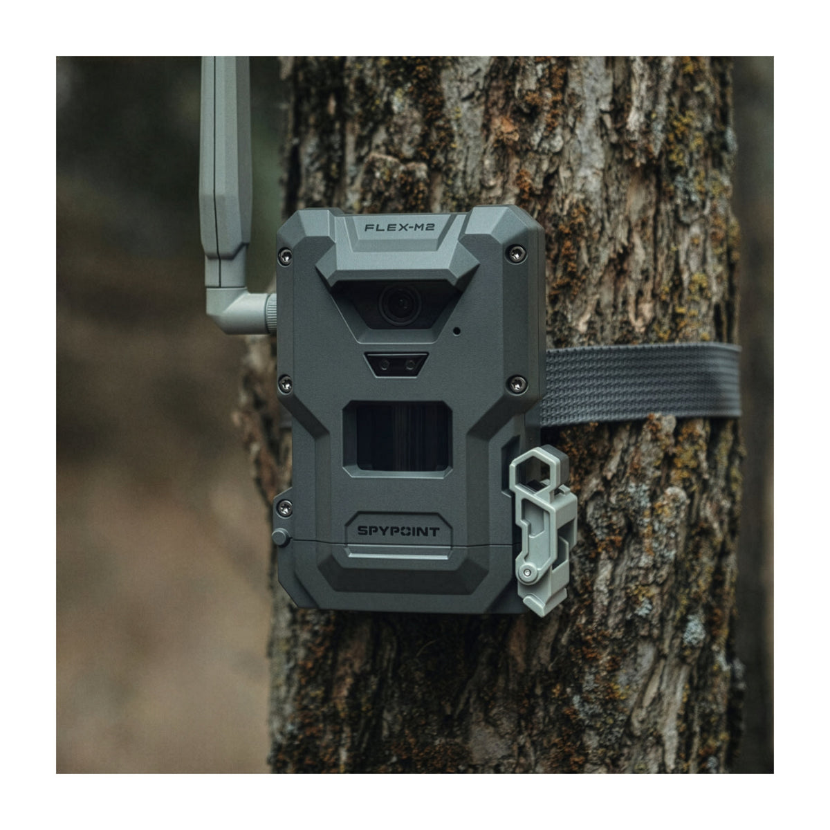 Spypoint FLEX-M2 32MP Trail Camera Bundle with 10-Watts Lithium Battery Solar Panel and Accessories