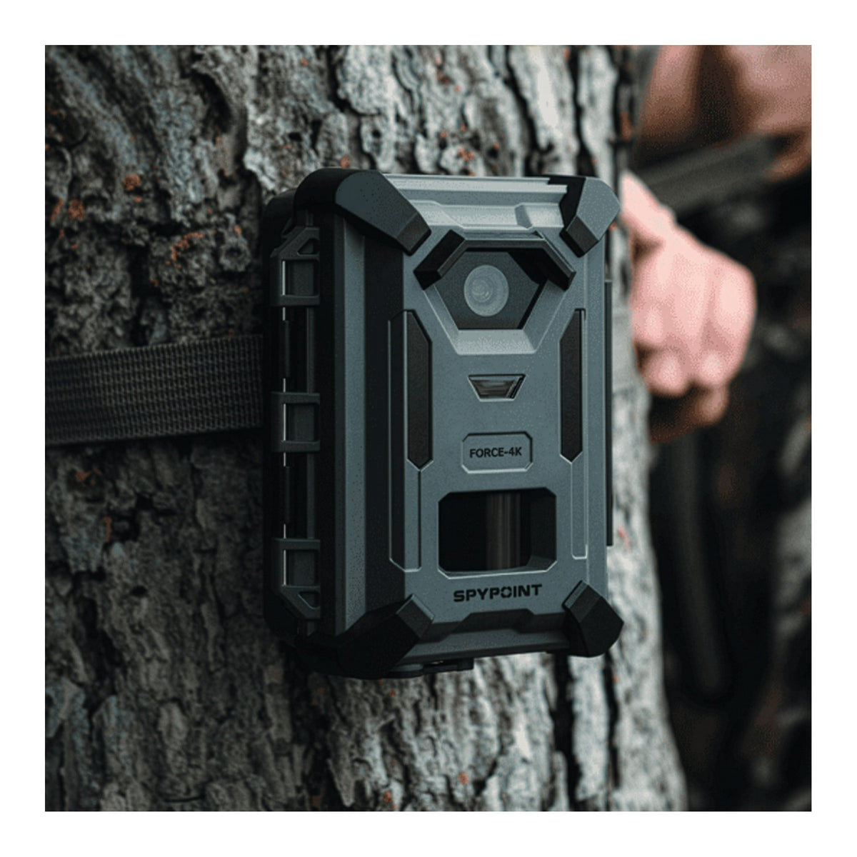 Spypoint FORCE-4K 40MP Trail Camera (2 Pack) Bundle with Solar Panel and Card Reader