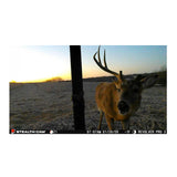 Stealth Cam Revolver Pro 3.0 360-Degree Cellular Trail Camera with Solar Battery (Bundle)