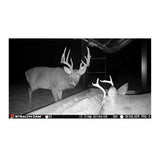 Stealth Cam Revolver Pro 3.0 360-Degree Cellular Trail Camera with Solar Battery (Bundle)