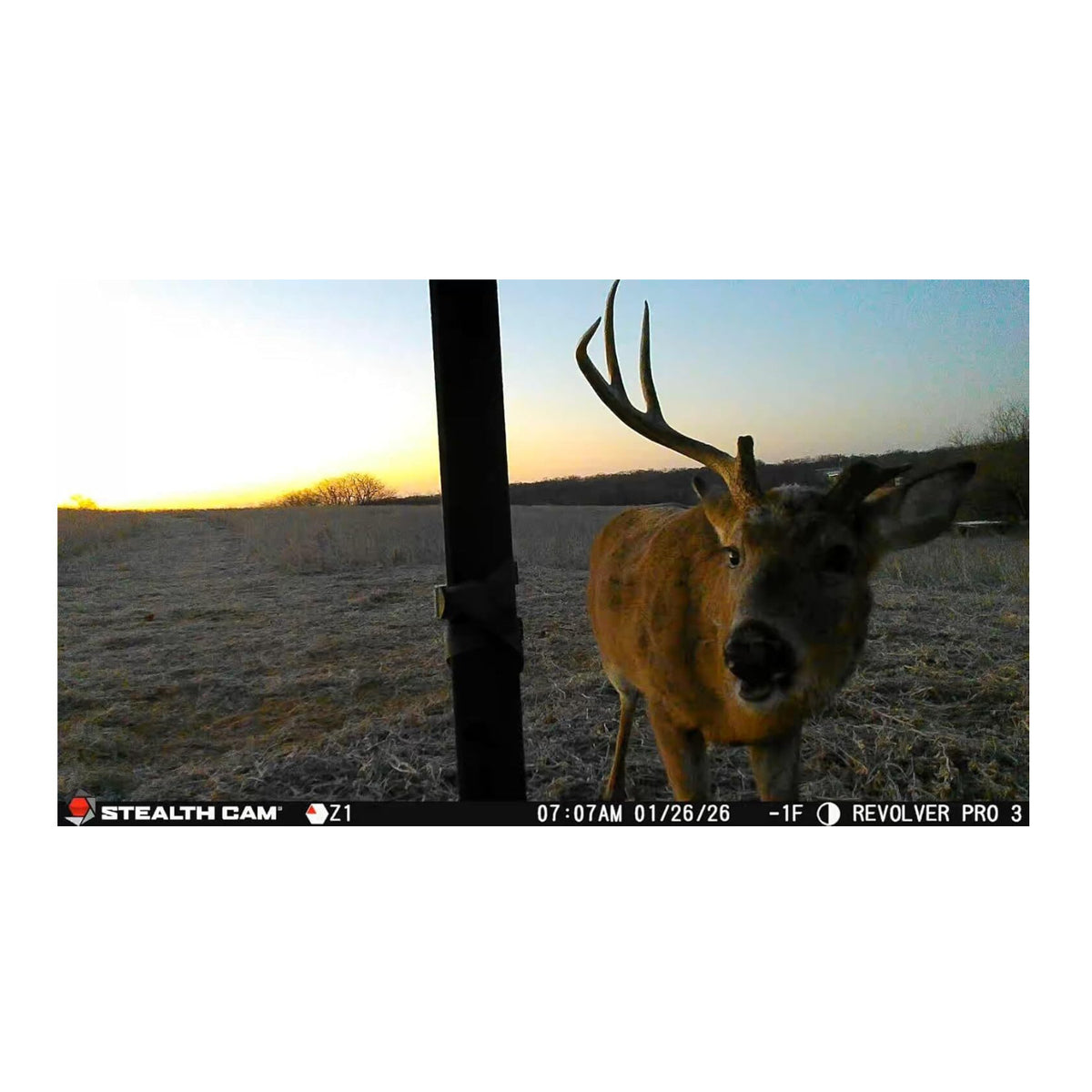 Stealth Cam Revolver Pro 3.0 360-Degree Cellular Trail Camera and Solar Battery Pack (Bundle)