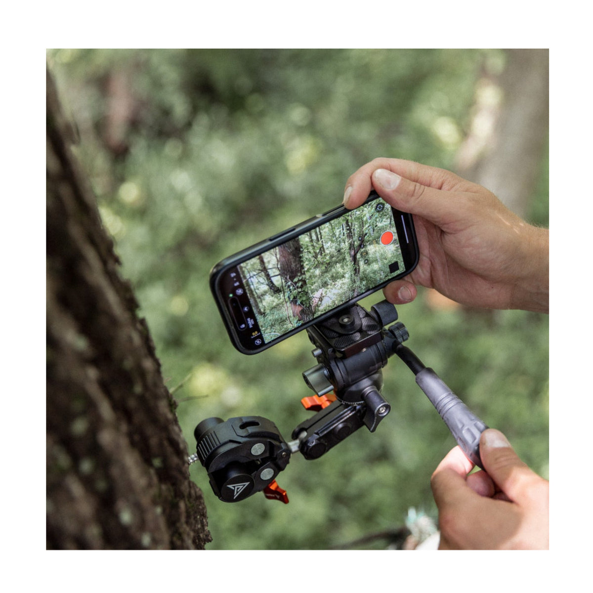 Painted Arrow Micro Elite Kit with Micro Arm, MAG-PRO Head, Fluid Head, and Tree-Peg Adapter
